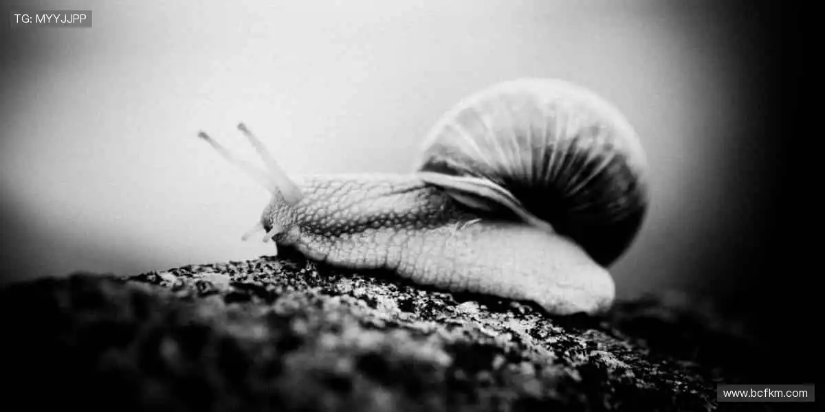 🎉赛事周边，让热爱更有型！🎈